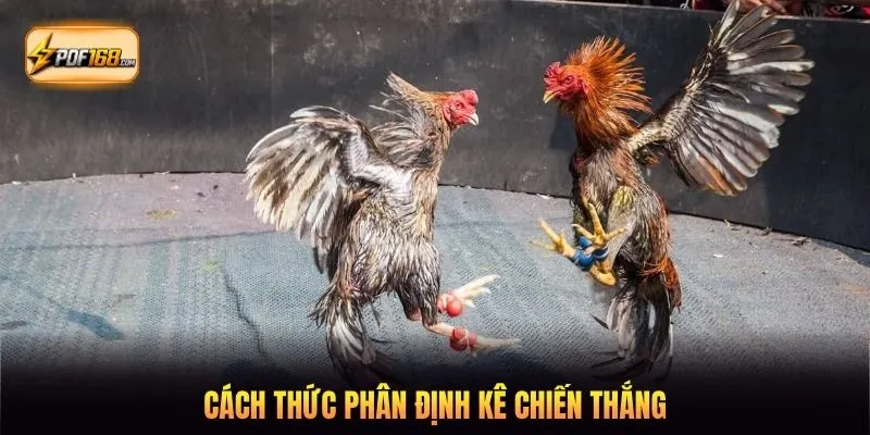 Cách thức phân định kê chiến thắng